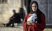 وقتی الناز شاکردوست، کولی‌وار به دریا زد