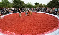 کُشتی در استخر گوجه! +عکس