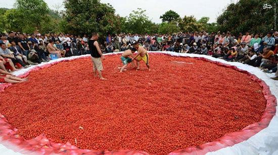 کُشتی در استخر گوجه! +عکس