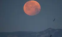 شی‌ء دیگری غیر از زمین باعث خسوف شد!