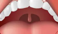 عضوهای ظاهراً بلااستفاده بدن و وظایف جالب و مهم آن‌ها