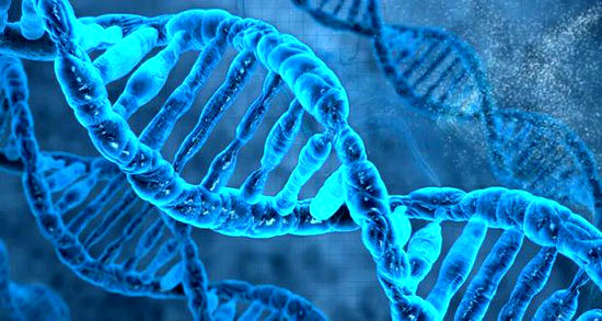 فناوری تغییر ژن یا کریسپر چیست و چه کاربرد‌های دارد؟