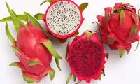 میوه اژدها، میوه‌ای زیبا و عجیب و غریب