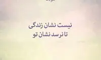 مینی شعر (399)