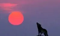 تصاویر بسیاز زیبا از ماه در آسمان