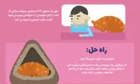 اینفوگرافی؛ ۷ اشتباه خوابیدن، که نمی‌دانید و انجام می‌دهید!