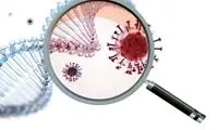 تغییرات مشترک سیستم ایمنی در کرونا و آلزایمر