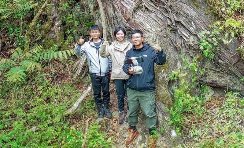 بلندترین درخت آسیا در عمیق‌ترین درۀ جهان پیدا شد