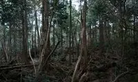 سفر به 7 منطقه ممنوعه / گزارش تصویری