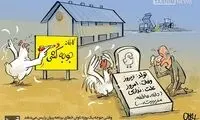 اینجا کارخونه جوجه‌کِشی است یا جوجه‌کُشی؟!