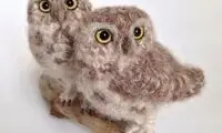 عکس: هنر پرنده بافی!