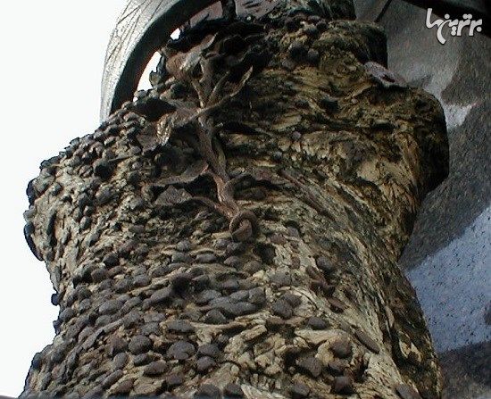 درخت عجیب و تاریخیِ میخ در وین
