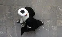 وضع مالی طلبه ها در ایام تحصیل و پس از آن