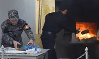 عجیب و غریب ترین راه های از بین بردن محموله های مواد مخدر