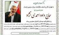 اعلامیه داوود احمدی نژاد