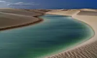 عکس روز نشنال جئوگرافیک؛ در باد