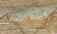 قدیمی‌ترین فسیل‌های زمین فقط سنگ هستند