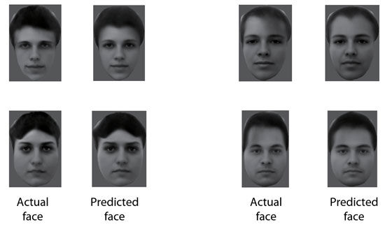 مغز چگونه چهره‌های متفاوت را تشخیص می‌دهد؟