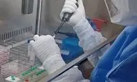 ژاپنی‌ها واکسن کرونا با قابلیت دائمی تولید می‌کنند