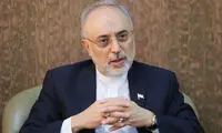 صالحی دستاوردهای جدید هسته‌ای را تشریح کرد