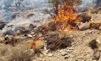 ۶۰هکتار از منابع طبیعی شهربابک در آتش سوخت