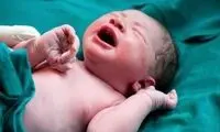 شرایط اهدا و دریافت تخمک و جنین