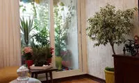 دکوراسیون پاسیو با گیاهان آپارتمانی، رازهای سبز خانه‌ای در قم