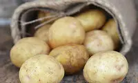 با این غذاها به جنگ آفتاب سوختگی بروید