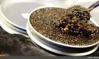 خاویار با طعم طلا در دوبی! +عکس