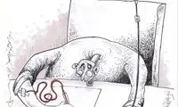 ببینید خبرنگاران چگونه کار می‌کنند!