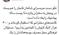 توئیت ابطحی درباره فراخوان غیراخلاقی تتلو