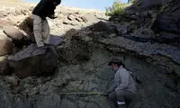 به‌دنبال صاحب ردپای 1متر و 22سانتی!