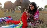 زنان مهربان روستایی برای فیل ها ژاکت می بافند!