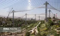 شهرداری، حق واگذاری پرندگان باغ لویزان را ندارد