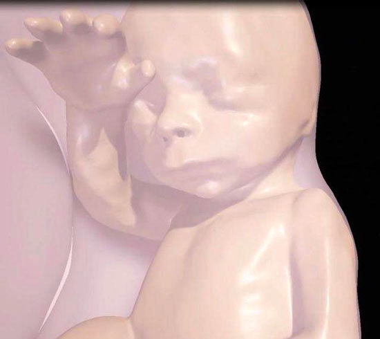 مشاهده جنین داخل رحم با واقعیت مجازی