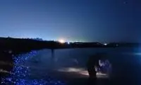 درخشندگی اسرارآمیز دریایی در ژاپن!