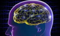 مغز معتادان آهن ذخیره می کند