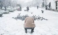 بارش زیبای برف در رشت