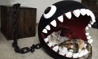 شخصیت منفی سوپر ماریو تخت گربه ها شد!
