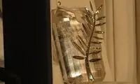 نخل طلا،قبل از اختتامیه متعلق به فرهادی‌بود!