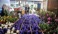محبوب‌ترین گل در بین ایرانیان