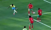 برزیل در دام شیرهای اطلس گرفتار شد