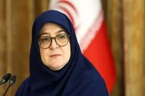 اظهارنظر «پفکی» سخنگوی دولت، سوژه یک بلاگر شد