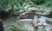 خرس های خندق قلعه کروملو