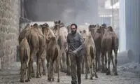 قصه‌ به‌روز «روز بلوا» با نماهای سینمایی