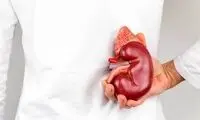 تمام آنچه که کلیه‌ها را سنگ‌ساز می‌کند