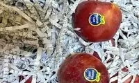 هتک حرمت به قرآن میان سیب‌های صادراتی!