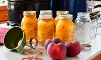 چگونه میوه های تابستانی را حفظ کنیم؟