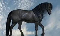 جدیدترین روش درمان معتادان اینترنتی