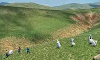 اینجا ایران است (88)